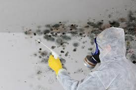 Best Commercial Mold Inspection  in Nissequogue, NY